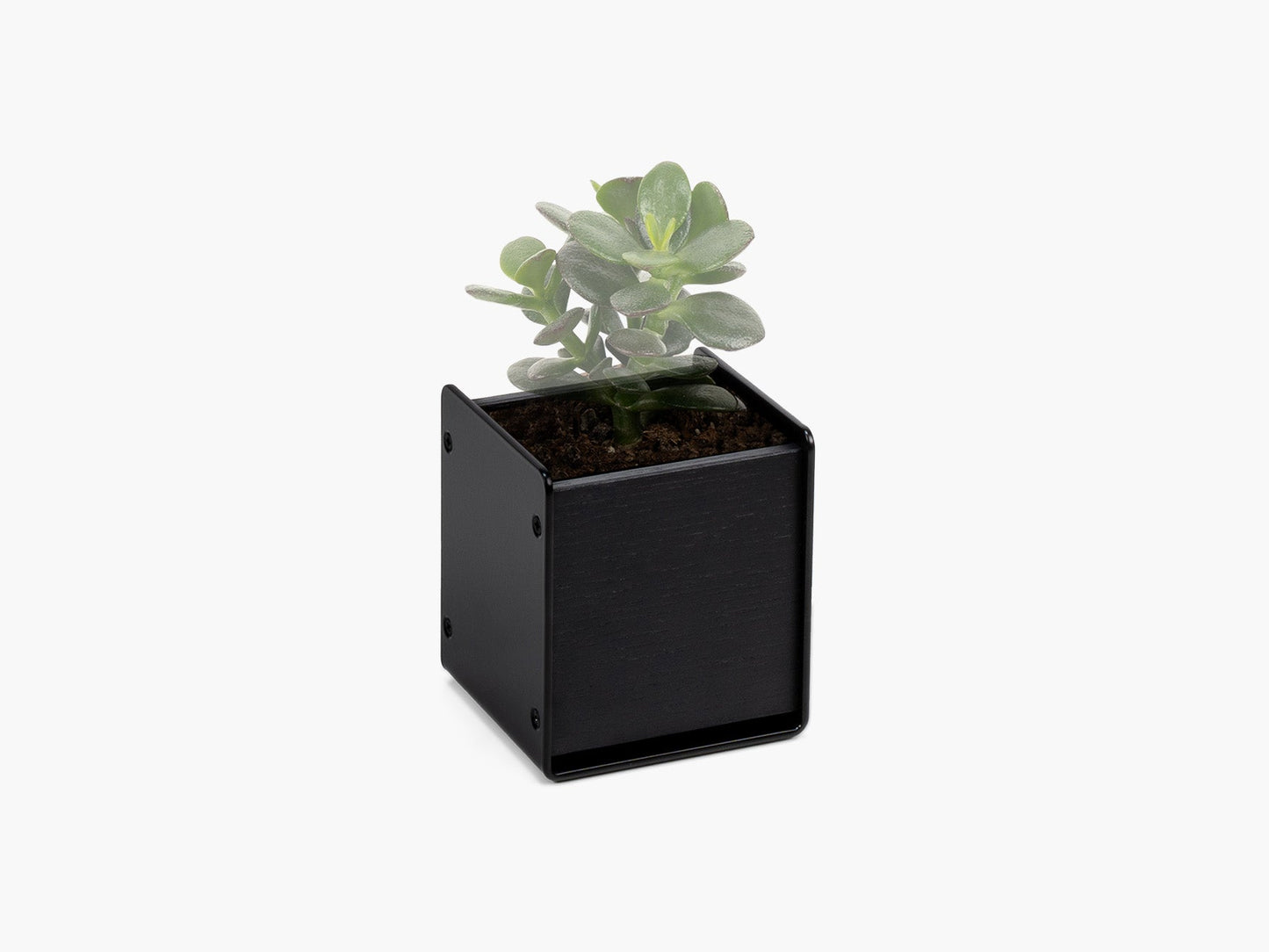Planter