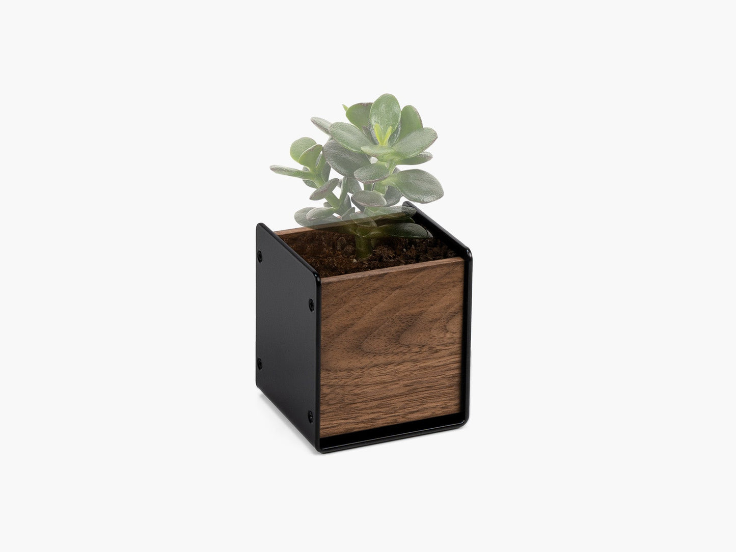 Planter