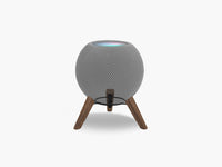 Amerikanischer Nussbaum